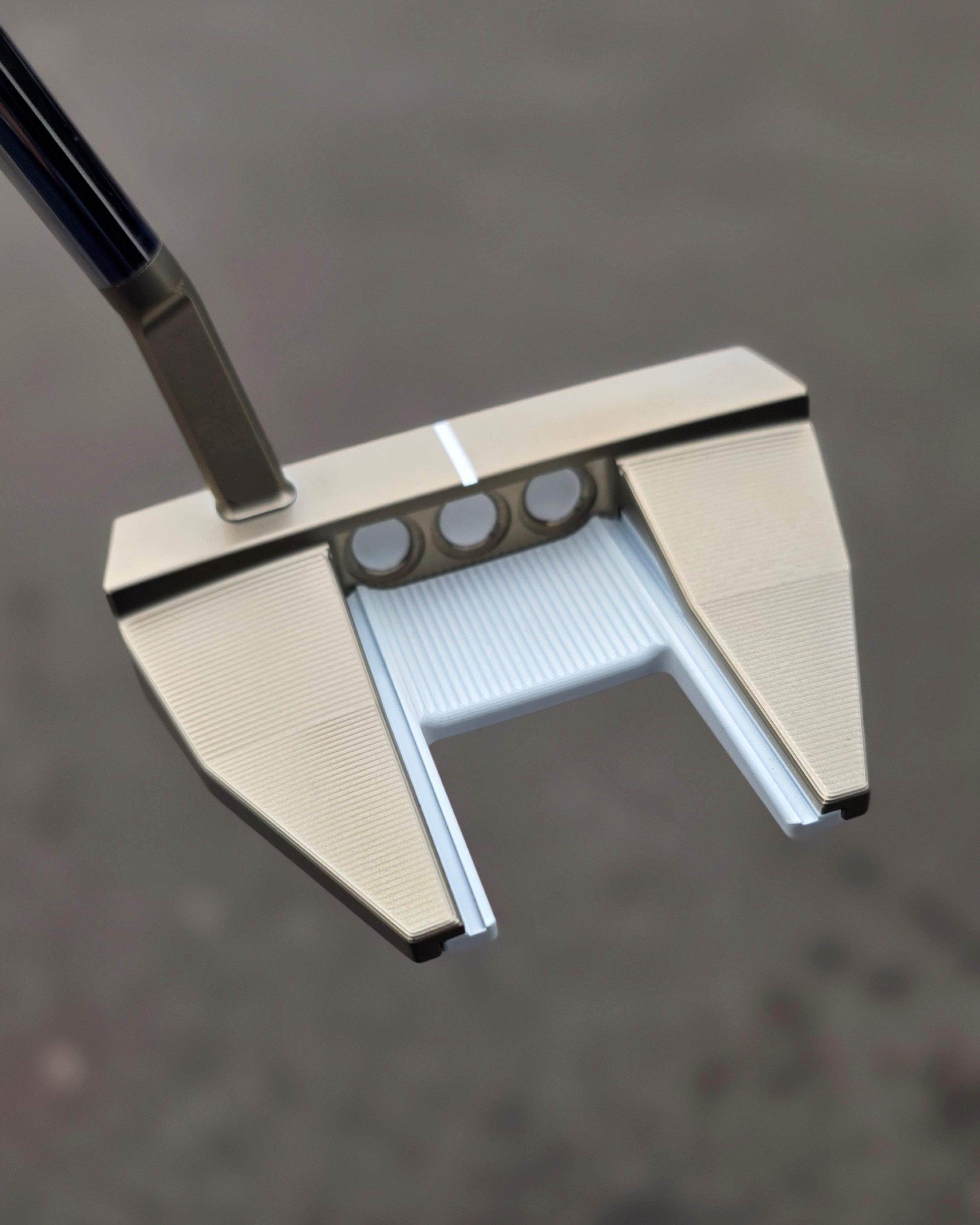 Putter Customization