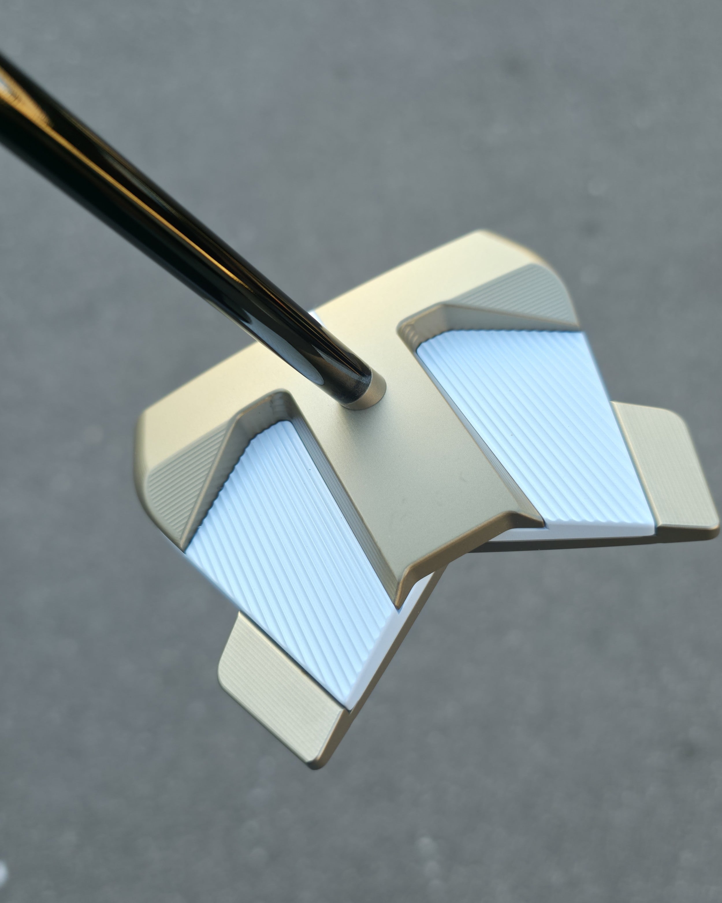 Putter Customization